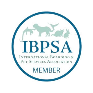 IBPSA