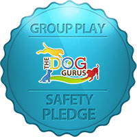 dog-gurus-safety-pledge